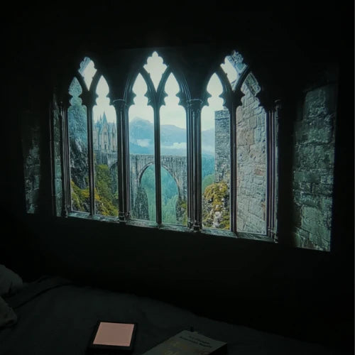 Fantasy Reader - Projector