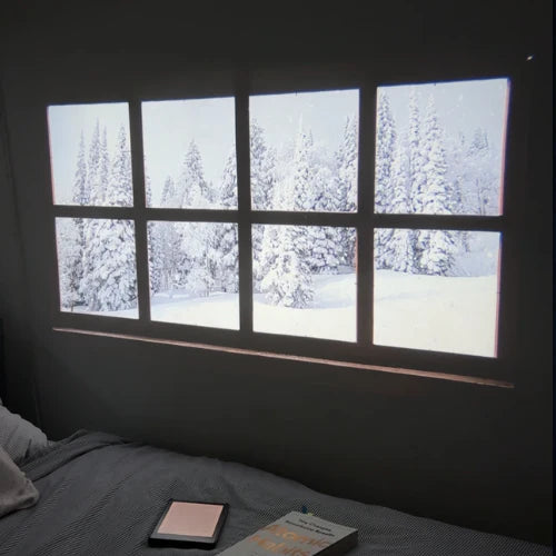 Fantasy Reader - Projector