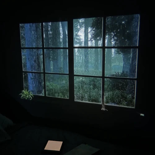 Fantasy Reader - Projector